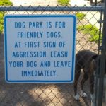 DOG PARK RULES 2