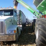 CORN HARVEST 2 LE MARS