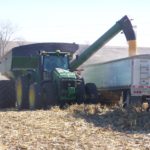 CORN HARVEST 3 LE MARS