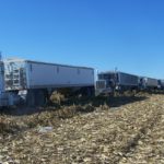 SEMIS IN FIELD