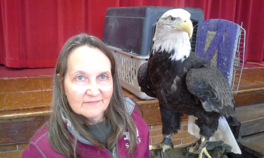 BALD EAGLE NUMBERS CONTINUE TO INCREASE - KSCJ 1360