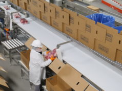 SEABOARD TRIUMPH FOODS CANCELS SOME SHIFTS