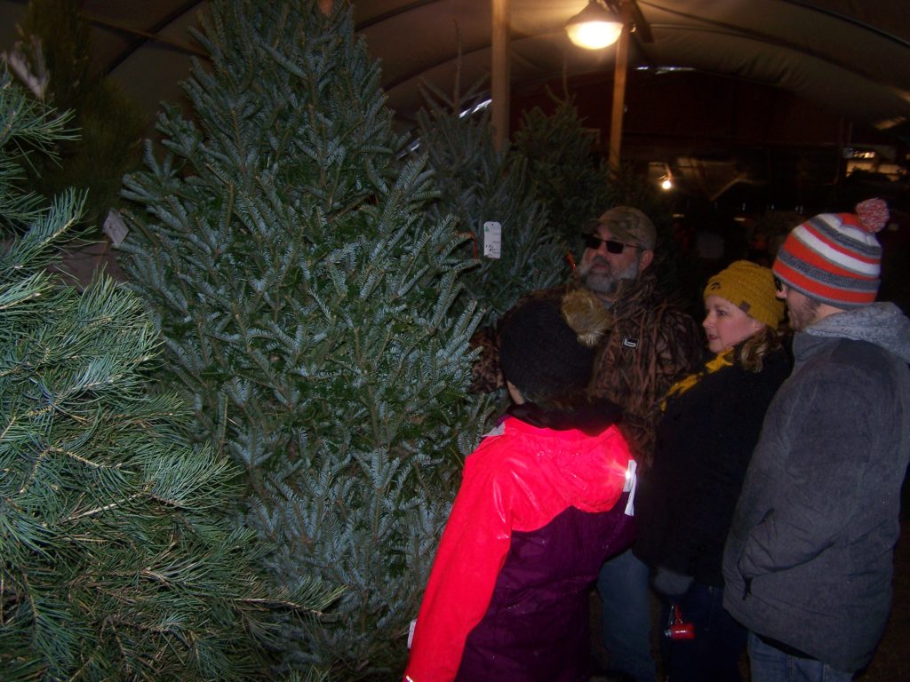 CITY CHRISTMAS TREE PICKUP STARTS JANUARY 2ND KSCJ 1360