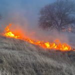 Dakota County fire