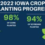 Planting Progress – June 6, 2022