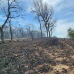 Monona County fire 2 Capture
