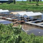 Boat Club docks 2024