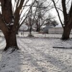 SNOW NOV 30 2024
