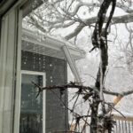 Tree on house