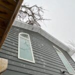 Tree on house 2