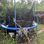 tree limb on trampoline