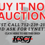 Auction (9)