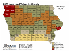 IOWA LAND PRICES REMAIN STABLE