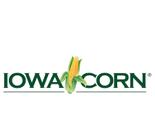 Study: Corn demand will falter without options like aviation fuel