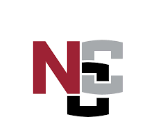 NCC Announces Registration is Open for “Microsoft Office Skills for the Workplace” Course