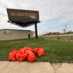 LITTER DASH BAGS