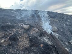 NEW SD WILDFIRE BURNS IN CUSTER COUNTY
