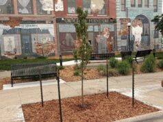 DOWNTOWN PARTNERS TO PLANT 61 NEW TREES