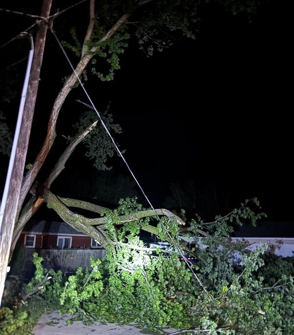 Kingsley storm damage 2