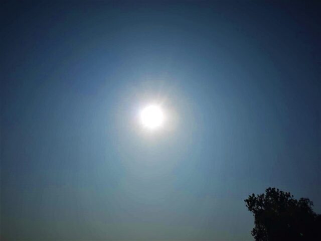 sun-IARN1690209653-940398100