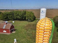 Sibley claims Iowa’s largest ear of corn at state’s highest point