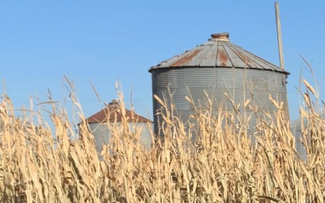 GrainBins-1080x675