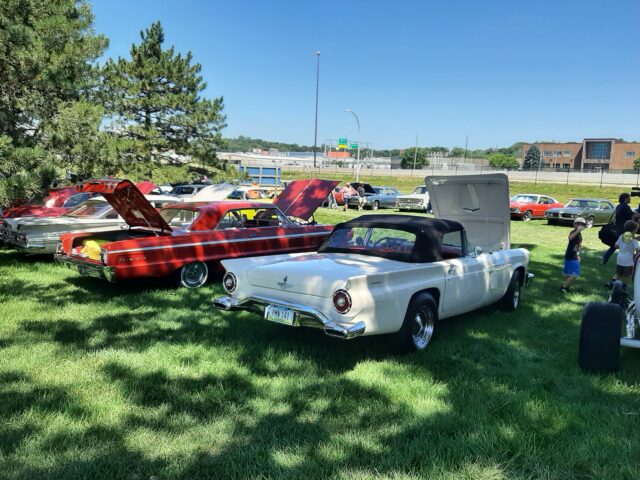 MUSEUM CAR SHOW