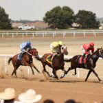 Atokad horse Racing