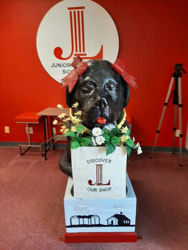 DISCOVERY DOG