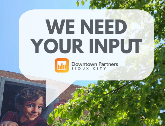 Downtown Partners Survey