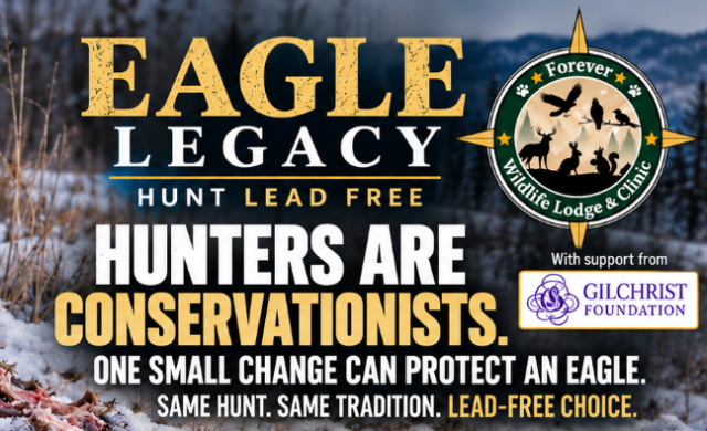 Eagle Legacy