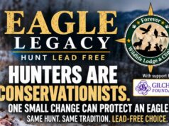 ‘Eagle Legacy’ campaign urging Iowa hunters to use lead-free ammo