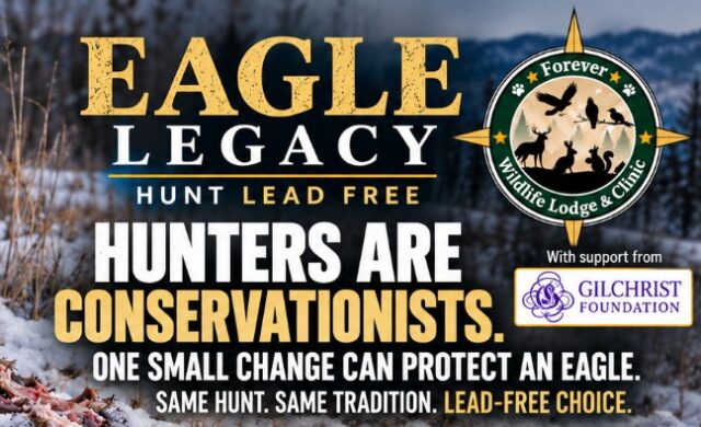 EagleLegacyGraphicKSCJ